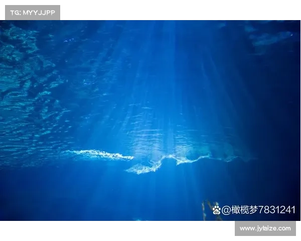 海洋爱与牺牲的深层含义探索:从生态保护到人类责任的多维视角 海洋爱与牺牲的深层含义探索:从生态保护到人类责任的多维视角