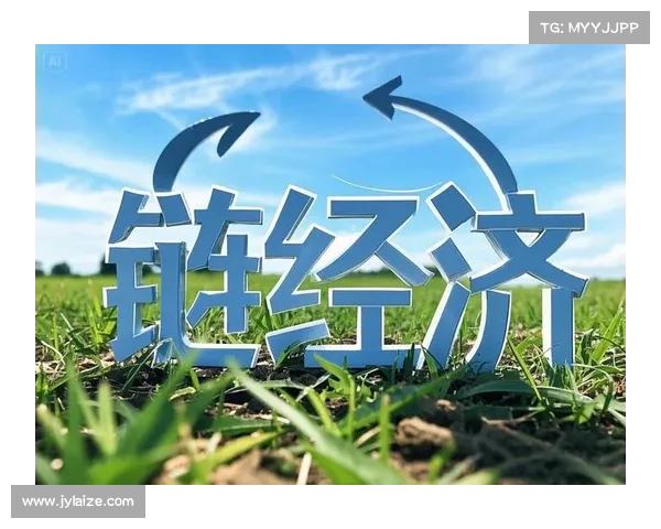 探索双羽天下战略下的经济增长新机遇与发展路径